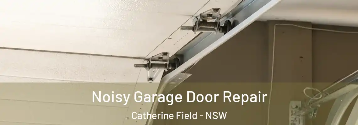  Noisy Garage Door Repair Catherine Field - NSW