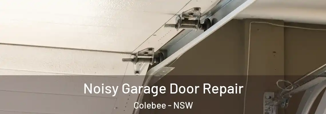  Noisy Garage Door Repair Colebee - NSW