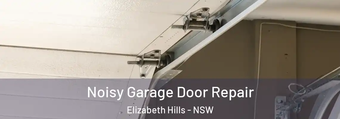  Noisy Garage Door Repair Elizabeth Hills - NSW