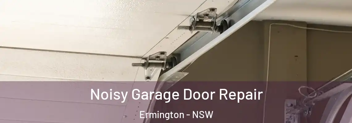  Noisy Garage Door Repair Ermington - NSW