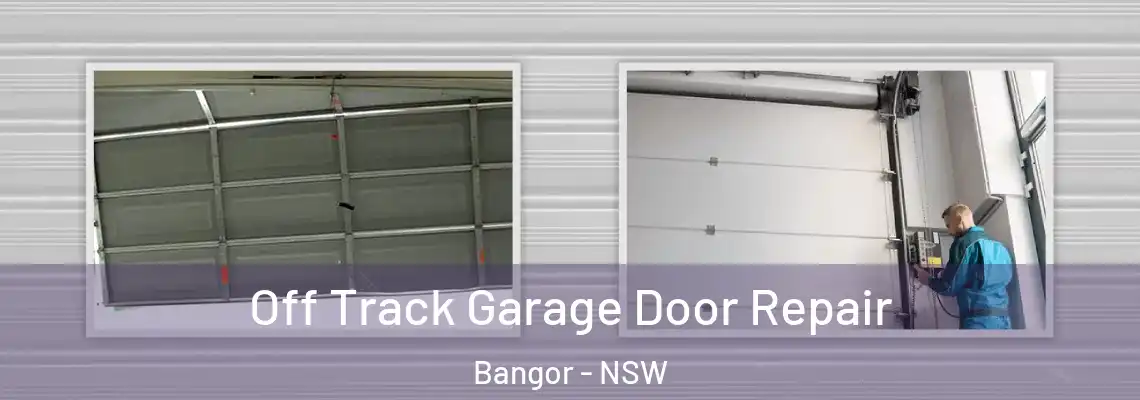  Off Track Garage Door Repair Bangor - NSW