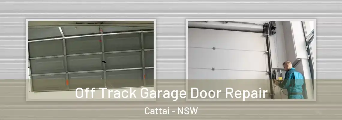  Off Track Garage Door Repair Cattai - NSW