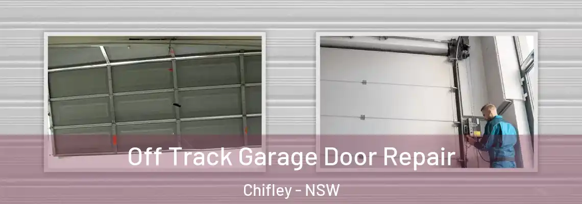  Off Track Garage Door Repair Chifley - NSW