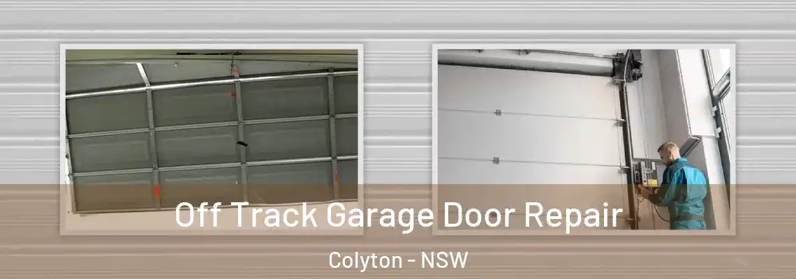  Off Track Garage Door Repair Colyton - NSW