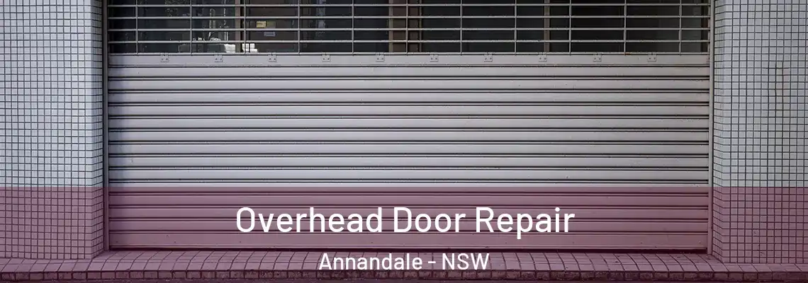  Overhead Door Repair Annandale - NSW