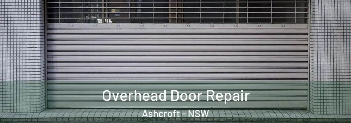  Overhead Door Repair Ashcroft - NSW