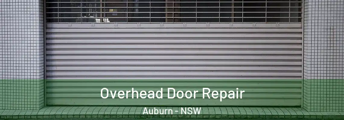  Overhead Door Repair Auburn - NSW