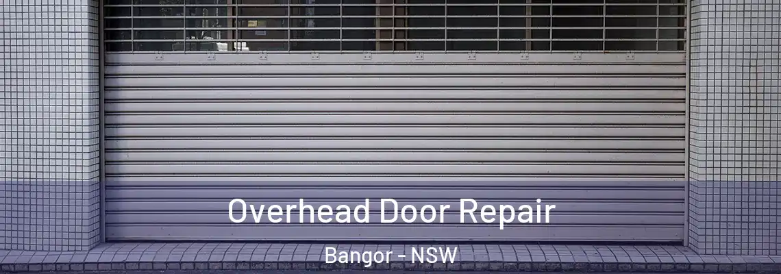  Overhead Door Repair Bangor - NSW