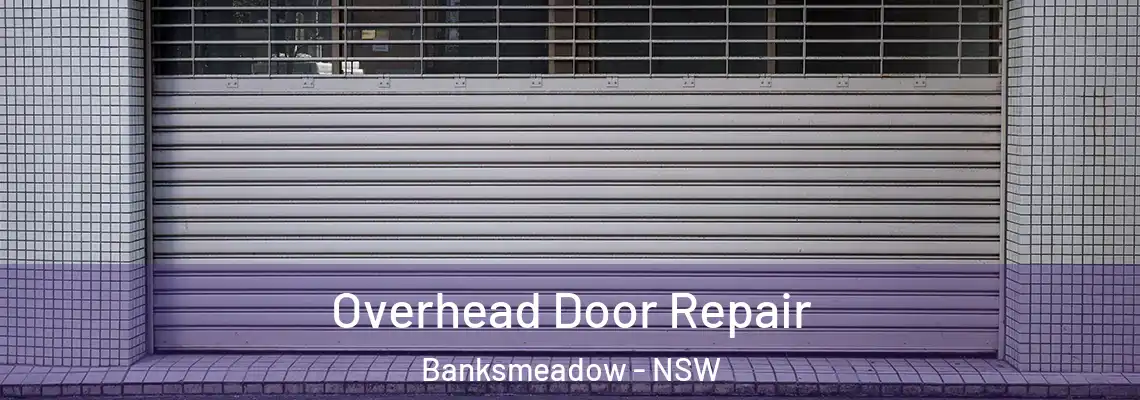  Overhead Door Repair Banksmeadow - NSW