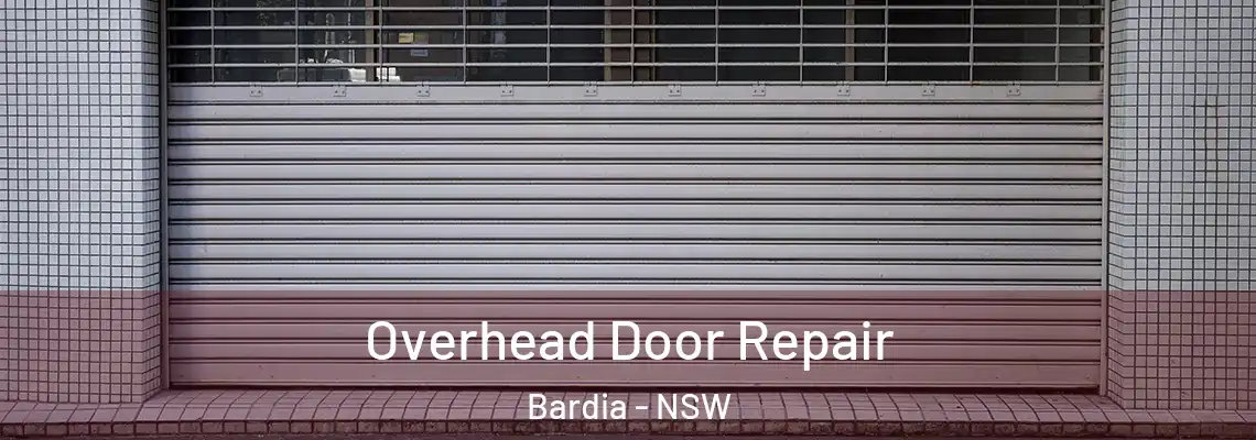  Overhead Door Repair Bardia - NSW