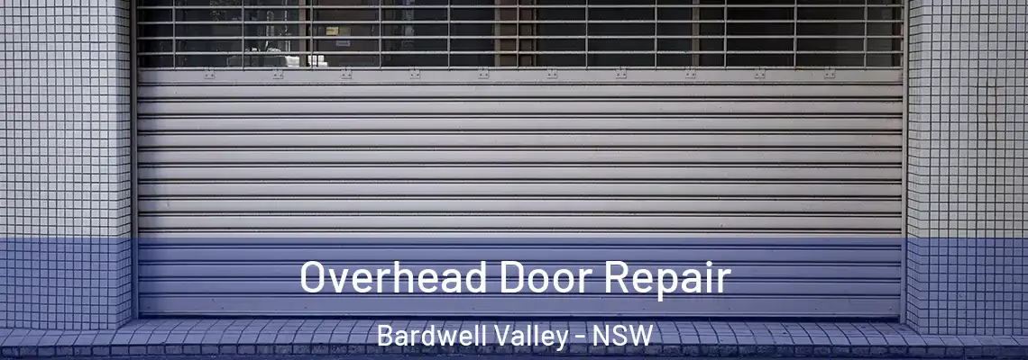  Overhead Door Repair Bardwell Valley - NSW