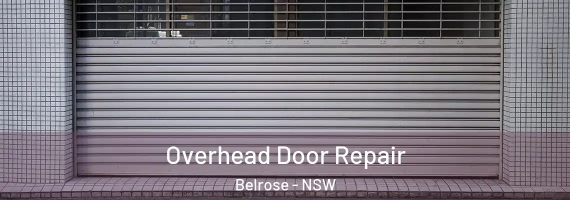  Overhead Door Repair Belrose - NSW