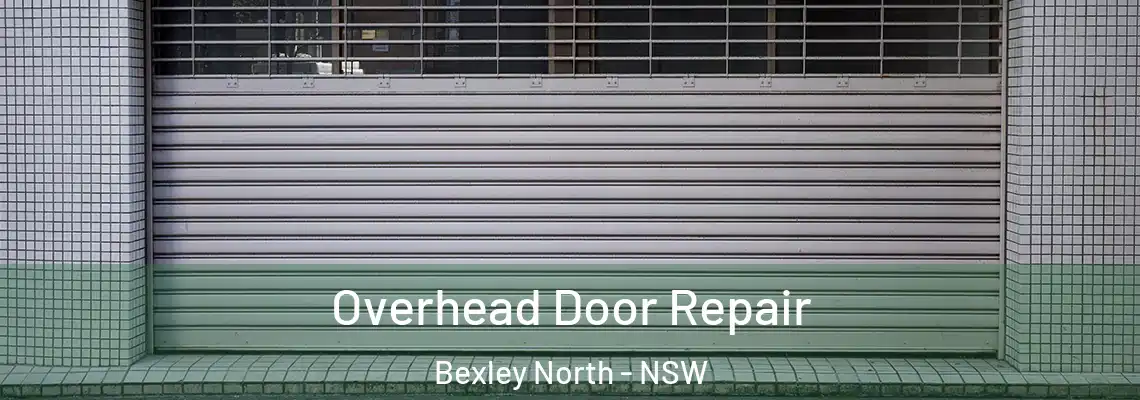  Overhead Door Repair Bexley North - NSW