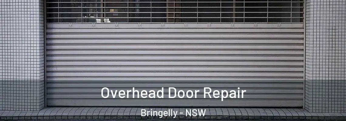  Overhead Door Repair Bringelly - NSW
