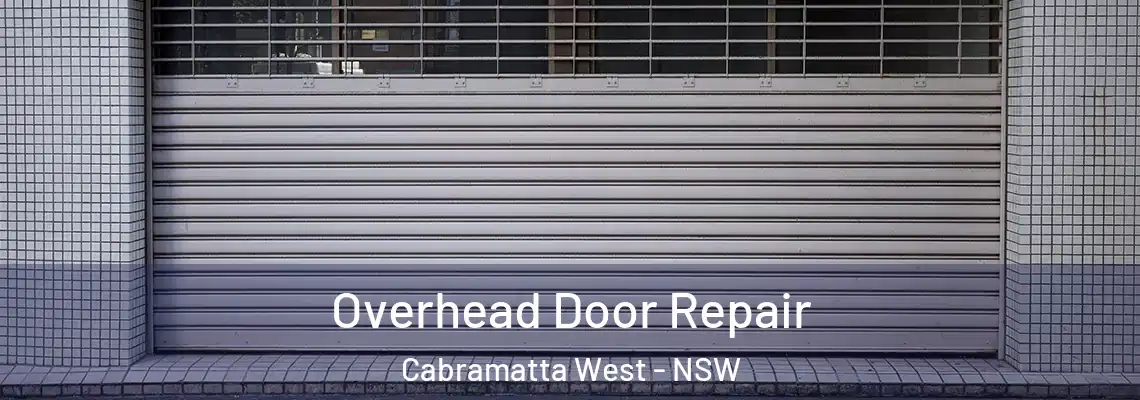  Overhead Door Repair Cabramatta West - NSW
