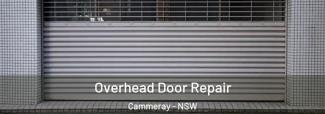  Overhead Door Repair Cammeray - NSW