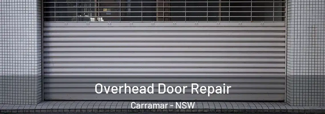  Overhead Door Repair Carramar - NSW