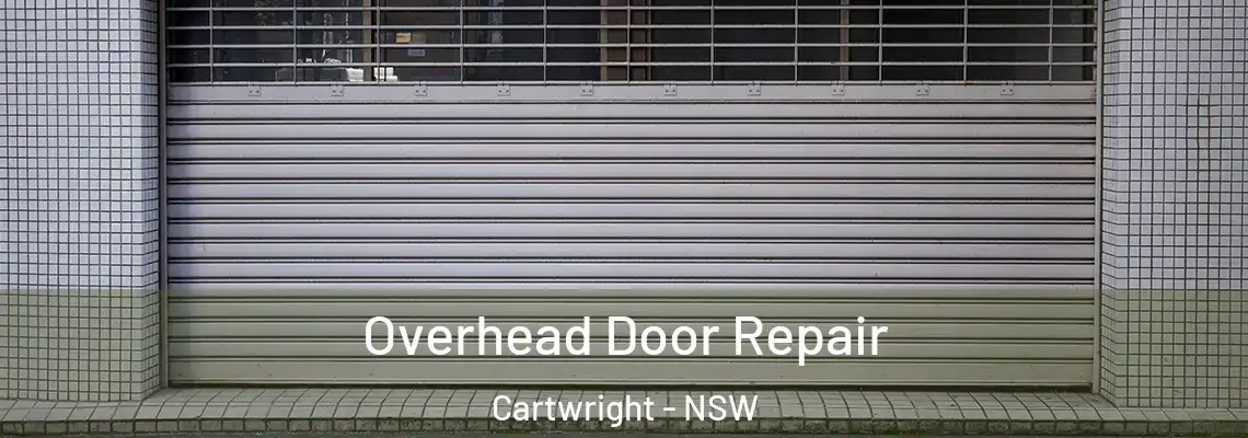  Overhead Door Repair Cartwright - NSW