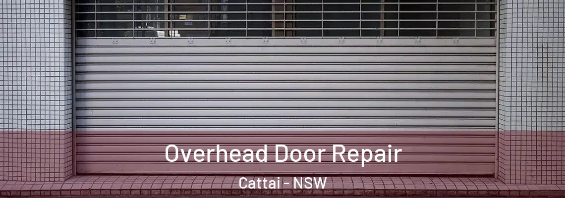  Overhead Door Repair Cattai - NSW