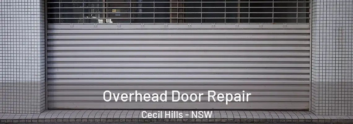  Overhead Door Repair Cecil Hills - NSW