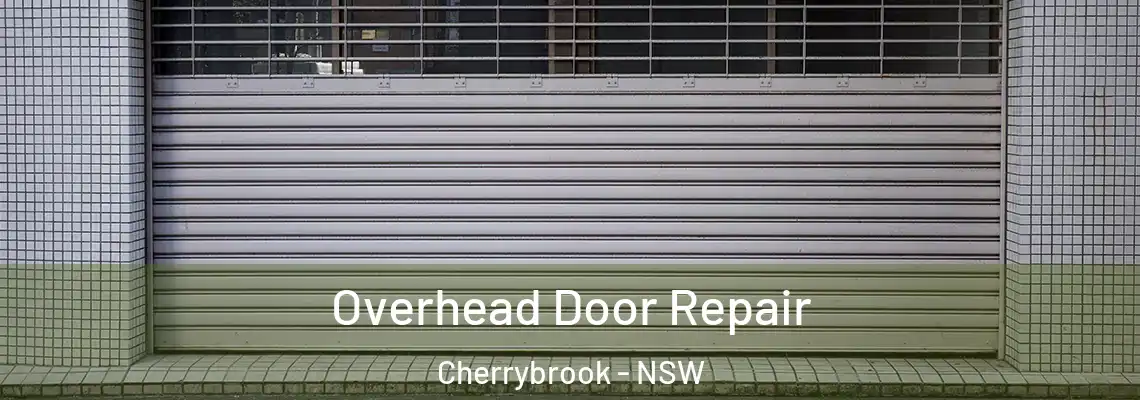  Overhead Door Repair Cherrybrook - NSW