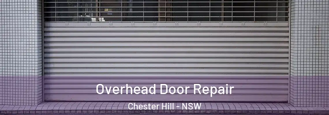  Overhead Door Repair Chester Hill - NSW