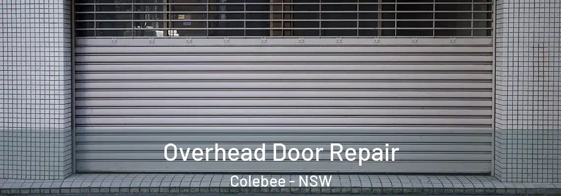  Overhead Door Repair Colebee - NSW