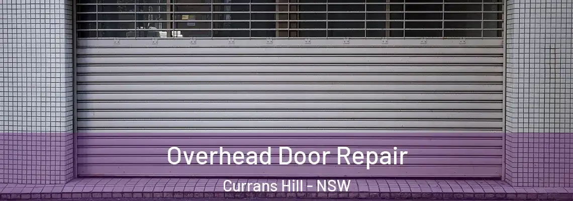 Overhead Door Repair Currans Hill - NSW