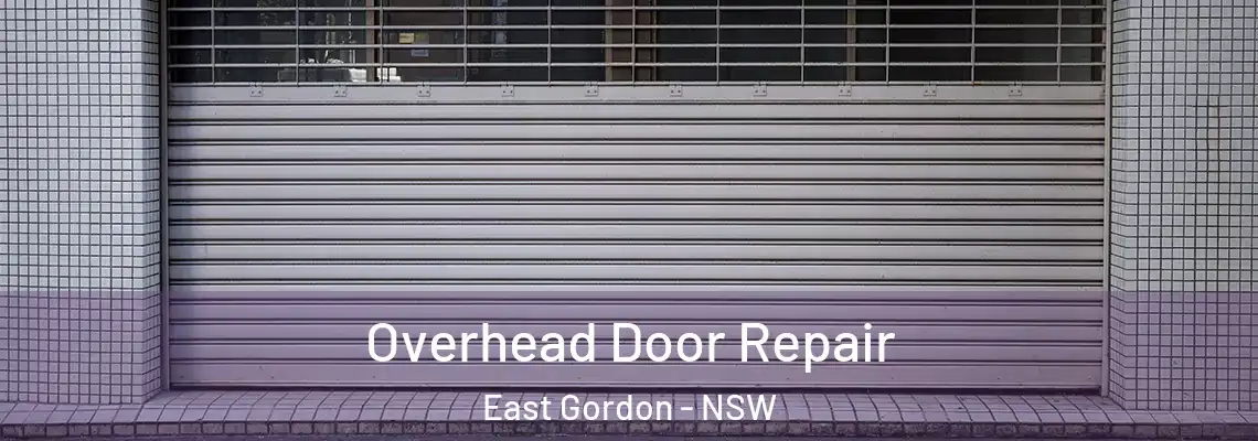  Overhead Door Repair East Gordon - NSW