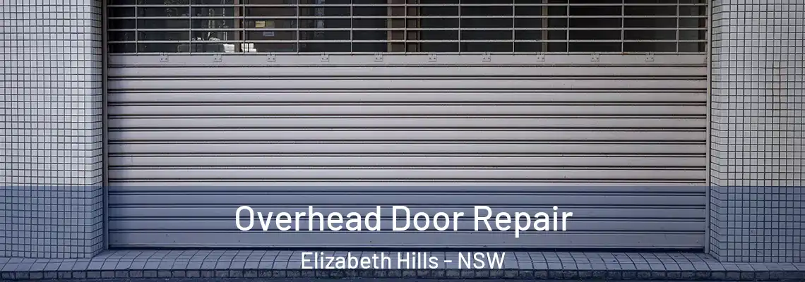  Overhead Door Repair Elizabeth Hills - NSW