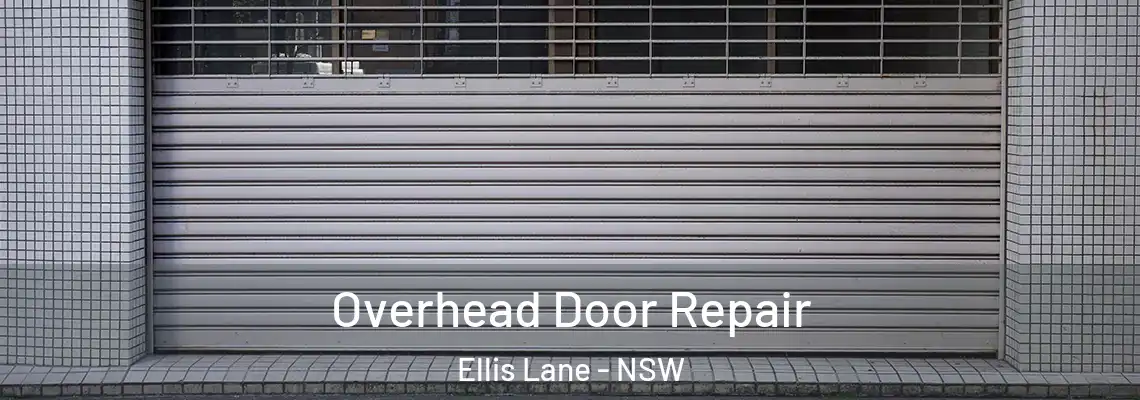  Overhead Door Repair Ellis Lane - NSW