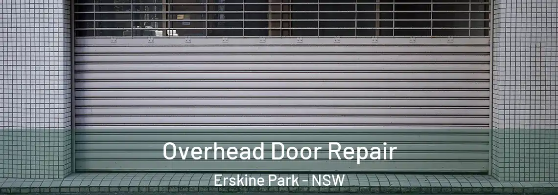  Overhead Door Repair Erskine Park - NSW