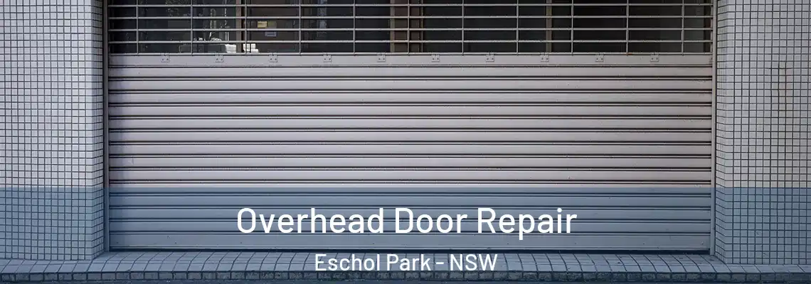  Overhead Door Repair Eschol Park - NSW
