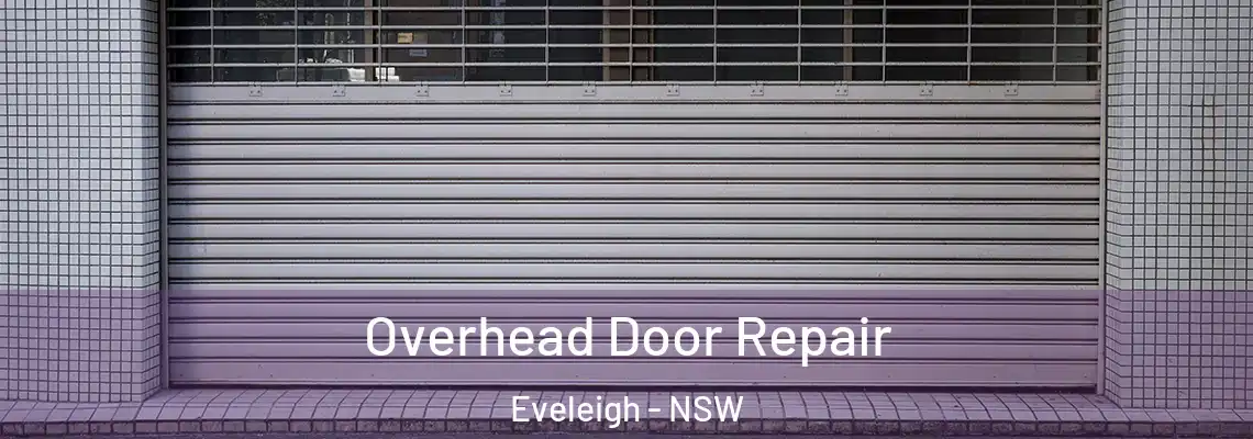  Overhead Door Repair Eveleigh - NSW