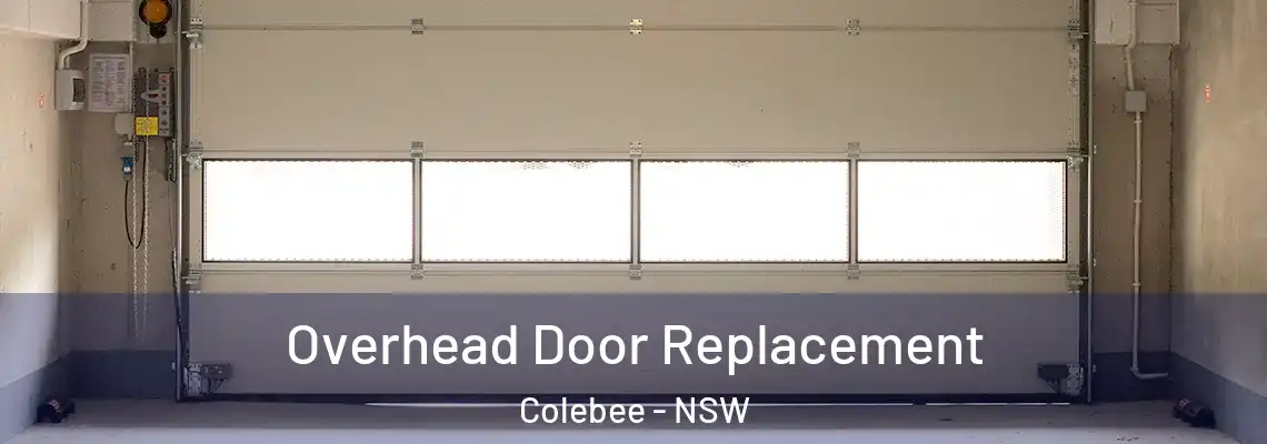  Overhead Door Replacement Colebee - NSW