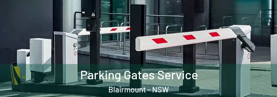 Parking Gates Service Blairmount - NSW
