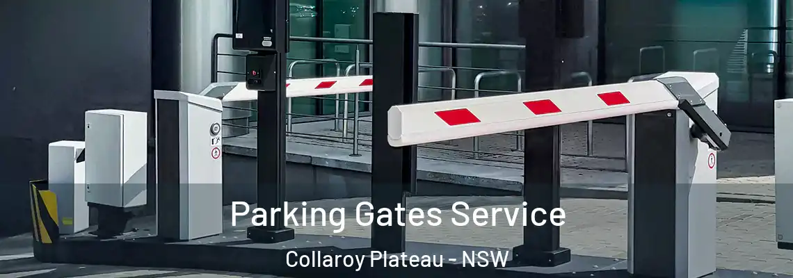  Parking Gates Service Collaroy Plateau - NSW