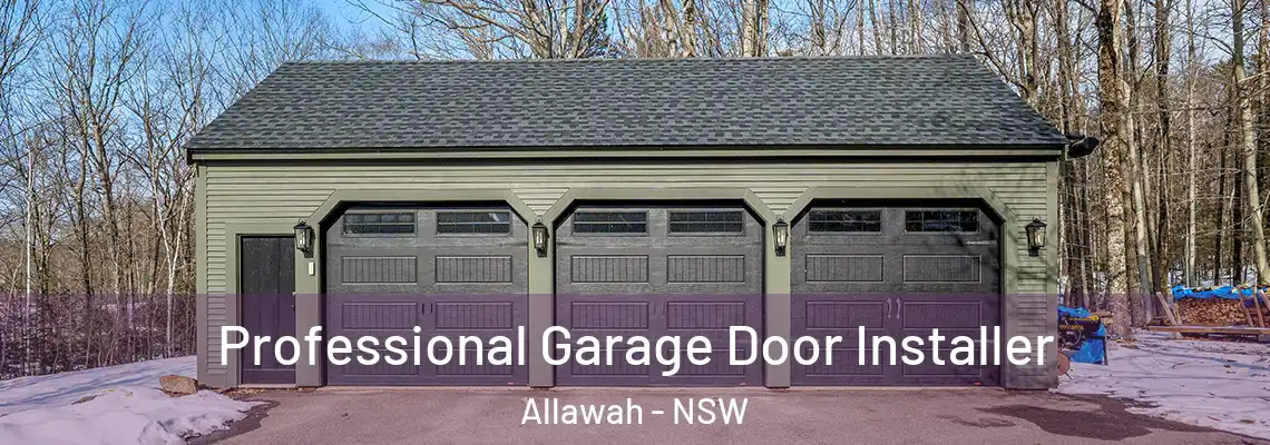 Professional Garage Door Installer Allawah - NSW