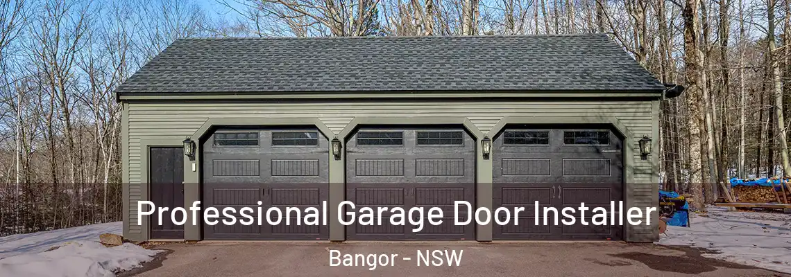 Professional Garage Door Installer Bangor - NSW