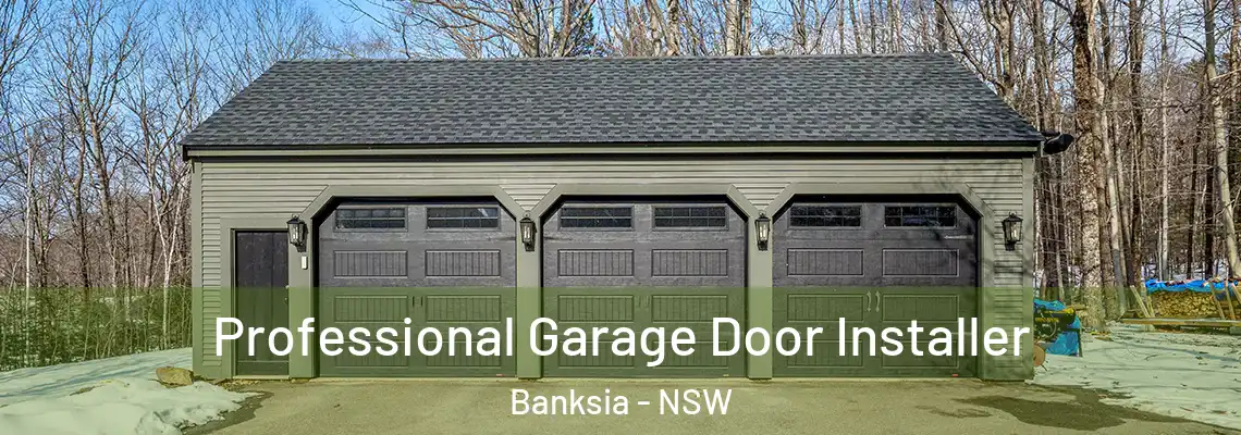  Professional Garage Door Installer Banksia - NSW