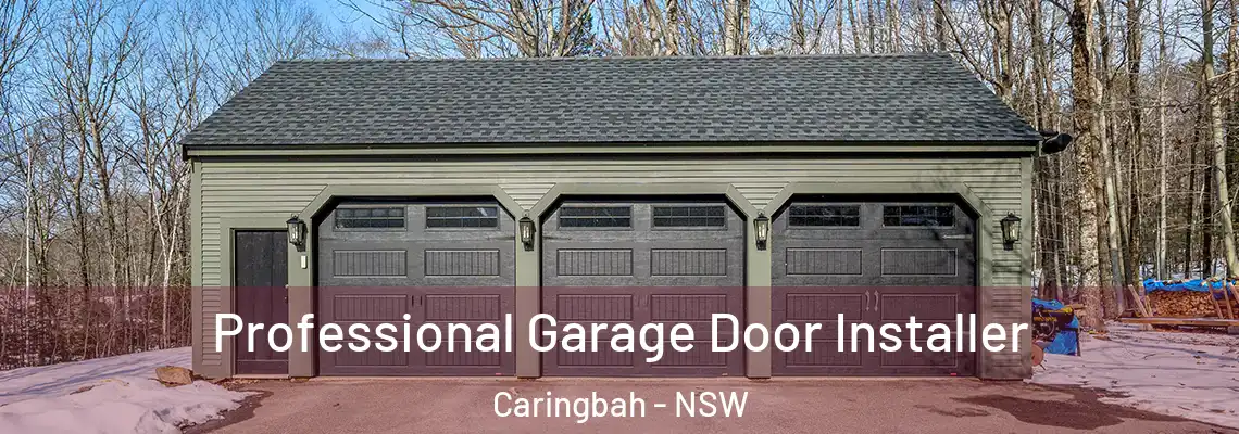  Professional Garage Door Installer Caringbah - NSW