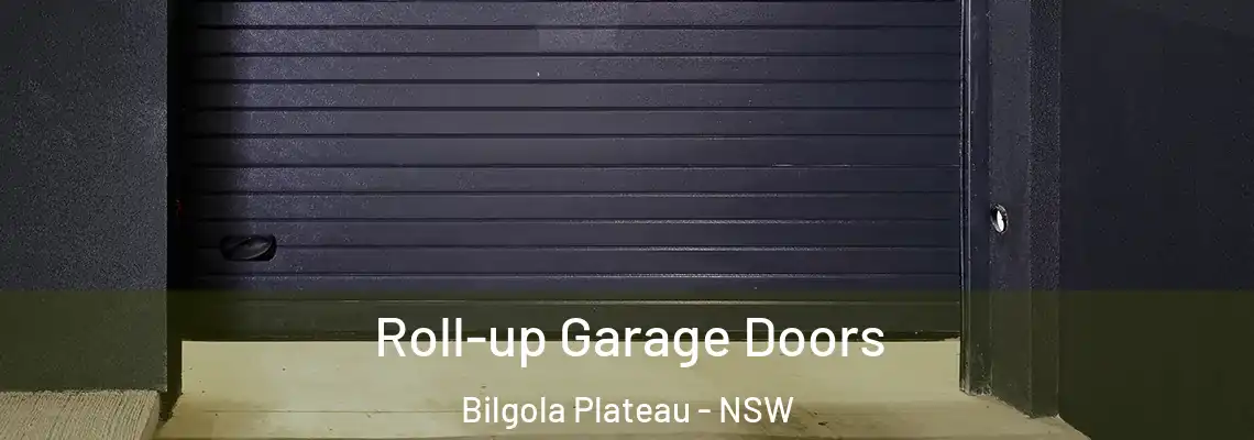  Roll-up Garage Doors Bilgola Plateau - NSW