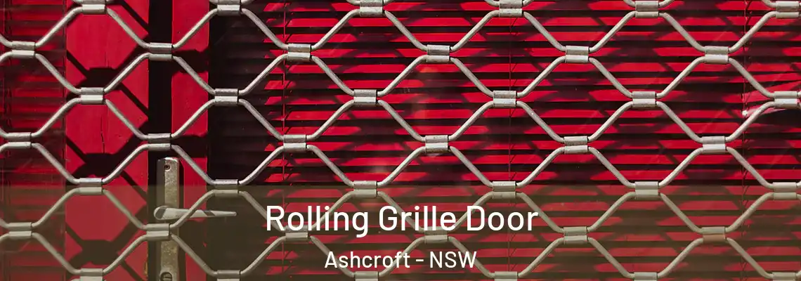  Rolling Grille Door Ashcroft - NSW