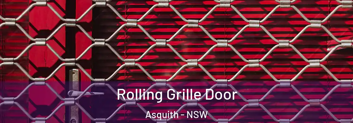  Rolling Grille Door Asquith - NSW