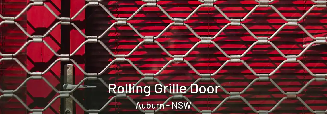  Rolling Grille Door Auburn - NSW