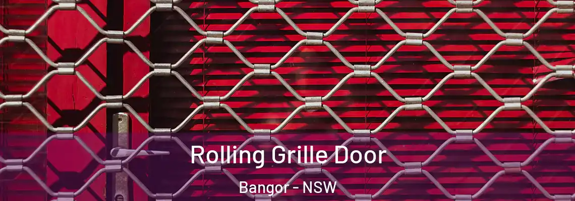  Rolling Grille Door Bangor - NSW