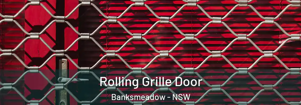  Rolling Grille Door Banksmeadow - NSW