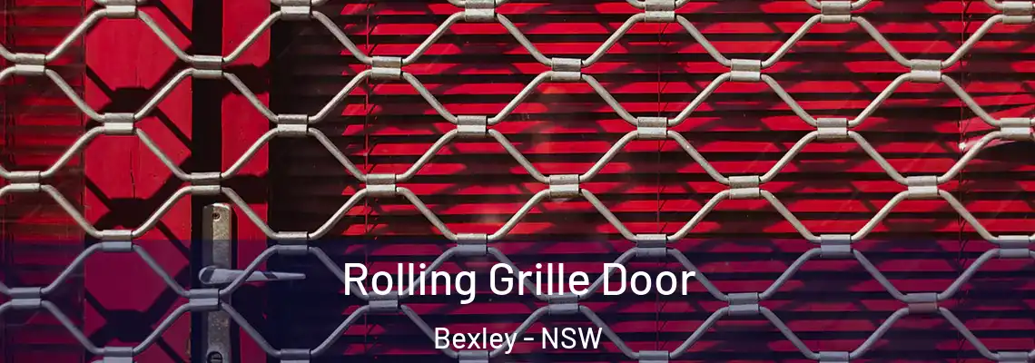  Rolling Grille Door Bexley - NSW