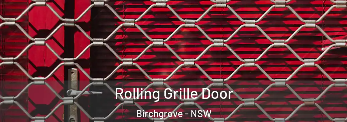  Rolling Grille Door Birchgrove - NSW