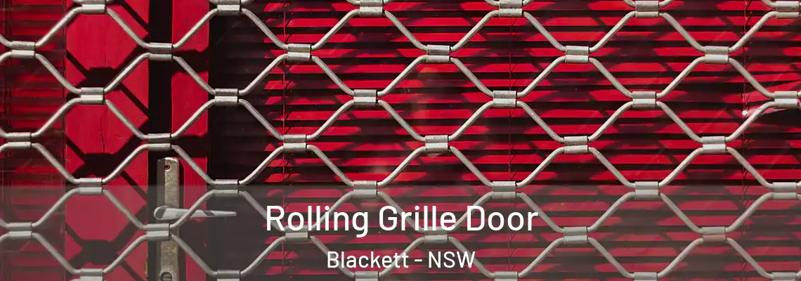  Rolling Grille Door Blackett - NSW
